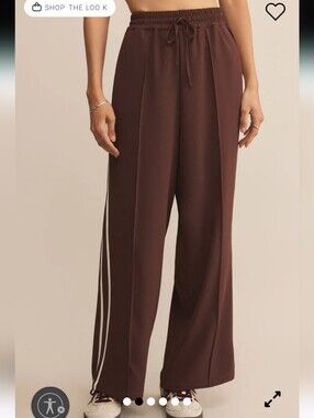 Z Supply Saunder Track Pant in Brown